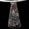 015 Utah Marine Fossil with Sterling