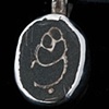 026 Fossil with Sterling