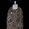 032 Fossil with Silver