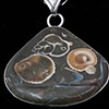022 Fossil with Sterling
