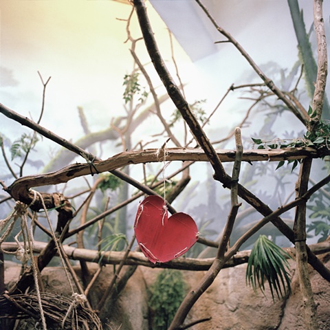 Como Zoo, St. Paul, Minnesota #3