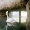 Lake Superior Zoo, Duluth, Minnesota #2