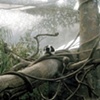 Central Park Zoo, New York City #1