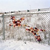 The Flowers