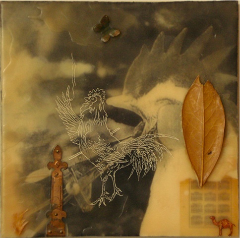 Joyce Gralak