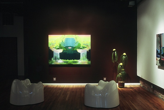 Double Fall Interior
Linda Warren Gallery, Chicago, IL