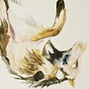 Falling Wolf, Detail