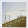 Staten Island