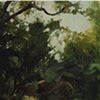 A Break In The Trees