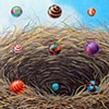 Nest Series: Number One