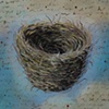 bittersweet nest