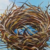 BitterSweet Nest
