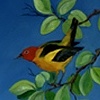 kachinas