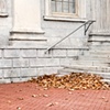 Corner Leaves