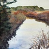 Salt Water Creek, Late Winter