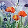 Hella's Poppies