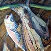 Good Catch