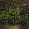 Installation