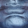 Friend, Detail