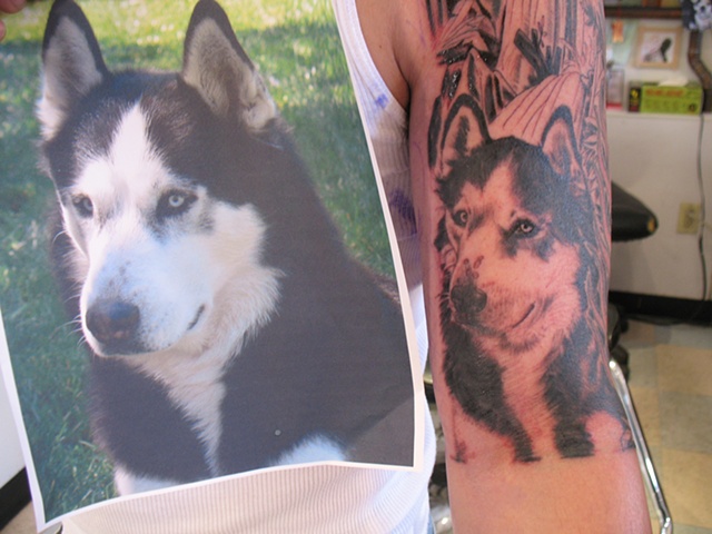 Doggy Portrait