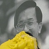 Hero Series
My Yellow Heroes (right)

