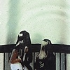 Sisters