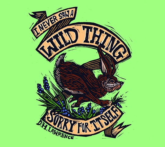"I never saw a wild thing sorry for itself."
—D.H. Lawrence