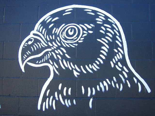Birds of Hollywood