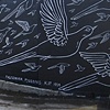 Flight of Passenger Pigeons