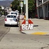 BEAR ON VINE