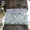 Magnolia Sign