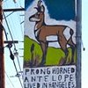 PRONGHORN ANTELOPE LIVED IN LOS ANGELES
