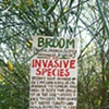 BROOM
