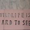 WILDLIFE IS HARD TO SEE