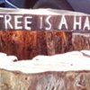 A TREE IS A HABITAT
