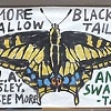 BUTTERFLY BUS STOP
