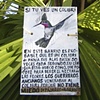 Colibri Sign