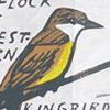 KINGBIRDS 