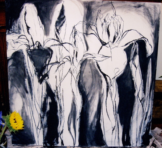 Iris