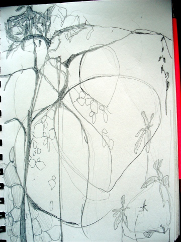 in the trees