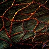 Bound / Unbound (3 panels)