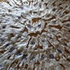 Imprint Series - Installation