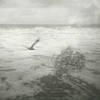 Beach 26