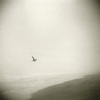 Beach 17