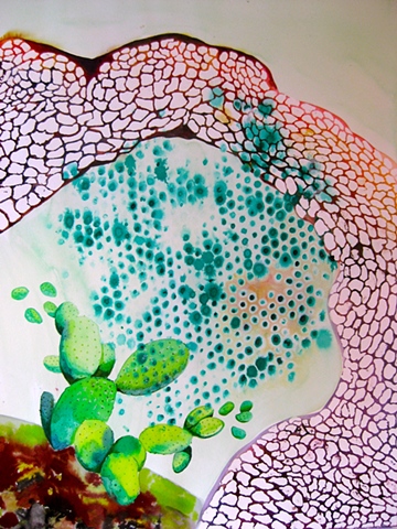 Splash Image