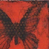 Butterfly In Red