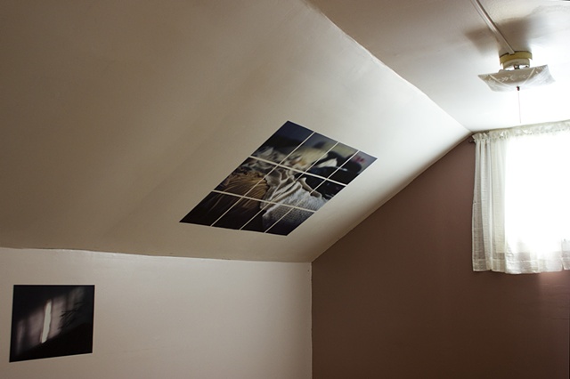 Bedroom View, #1