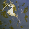 Falling Bird Installation