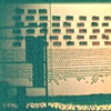 Evolutionary Wall