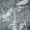 cells - 3
